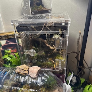 Ruthie added a photo of their purchase