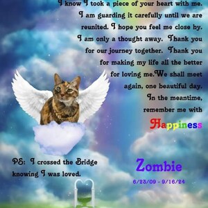 Lynn added a photo of their purchase