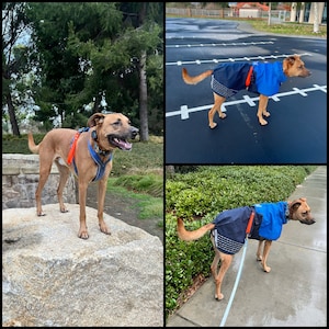 Sush added a photo of their purchase