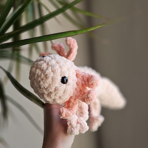 Rachel ha añadido una foto de su compra