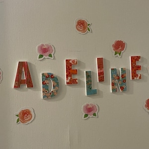 Caitlin a ajouté une photo de son achat