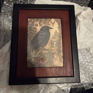 Lourdes added a photo of their purchase