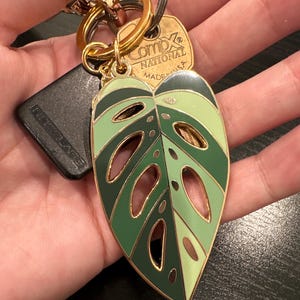 Emily adicionaram uma foto da sua compra