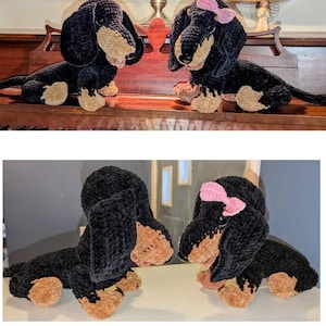 Sue added a photo of their purchase