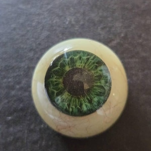 David added a photo of their purchase