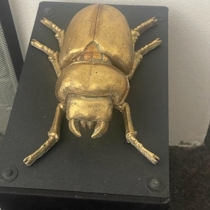 Sealuvie added a photo of their purchase