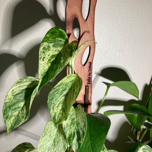 Courtney added a photo of their purchase