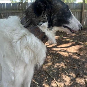 Izzie added a photo of their purchase