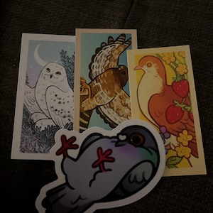 Renee added a photo of their purchase
