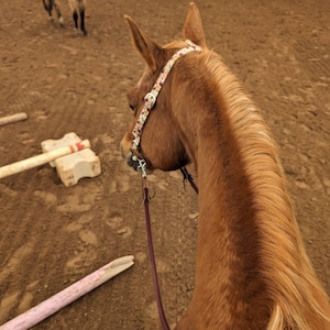 Audra added a photo of their purchase