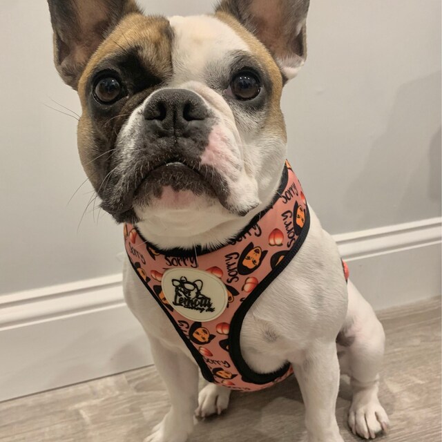 LeMotticlothing on Etsy