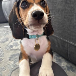 Morgan ha añadido una foto de su compra