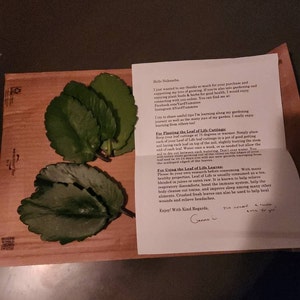 Nukeasha ha añadido una foto de su compra