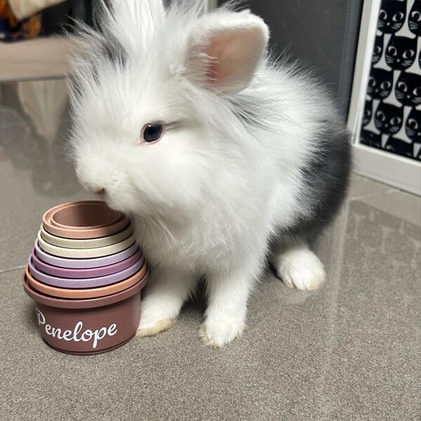 Bunny Stacking Cups: Wheat Straw Rabbit Toy, Pet Enrichment - Etsy