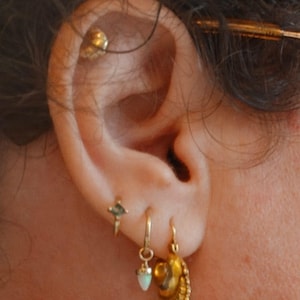 Tal added a photo of their purchase