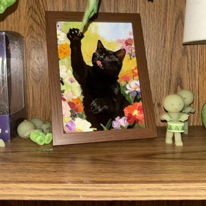 Dariana added a photo of their purchase