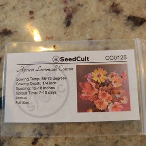 Abigail added a photo of their purchase