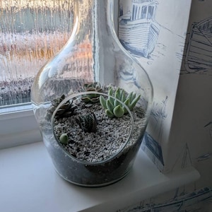 NicolaSawyer added a photo of their purchase