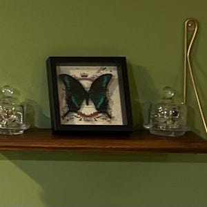 Anjanette added a photo of their purchase
