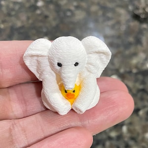 Amy added a photo of their purchase