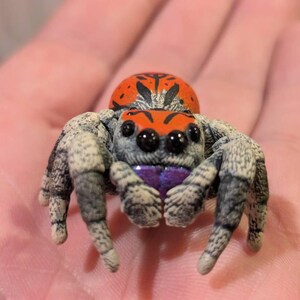 Buy Regal Jumping Spider Figure - Multiple Color and Size Options