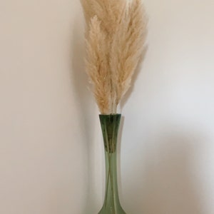 ludivine ha aggiunto una foto del proprio acquisto