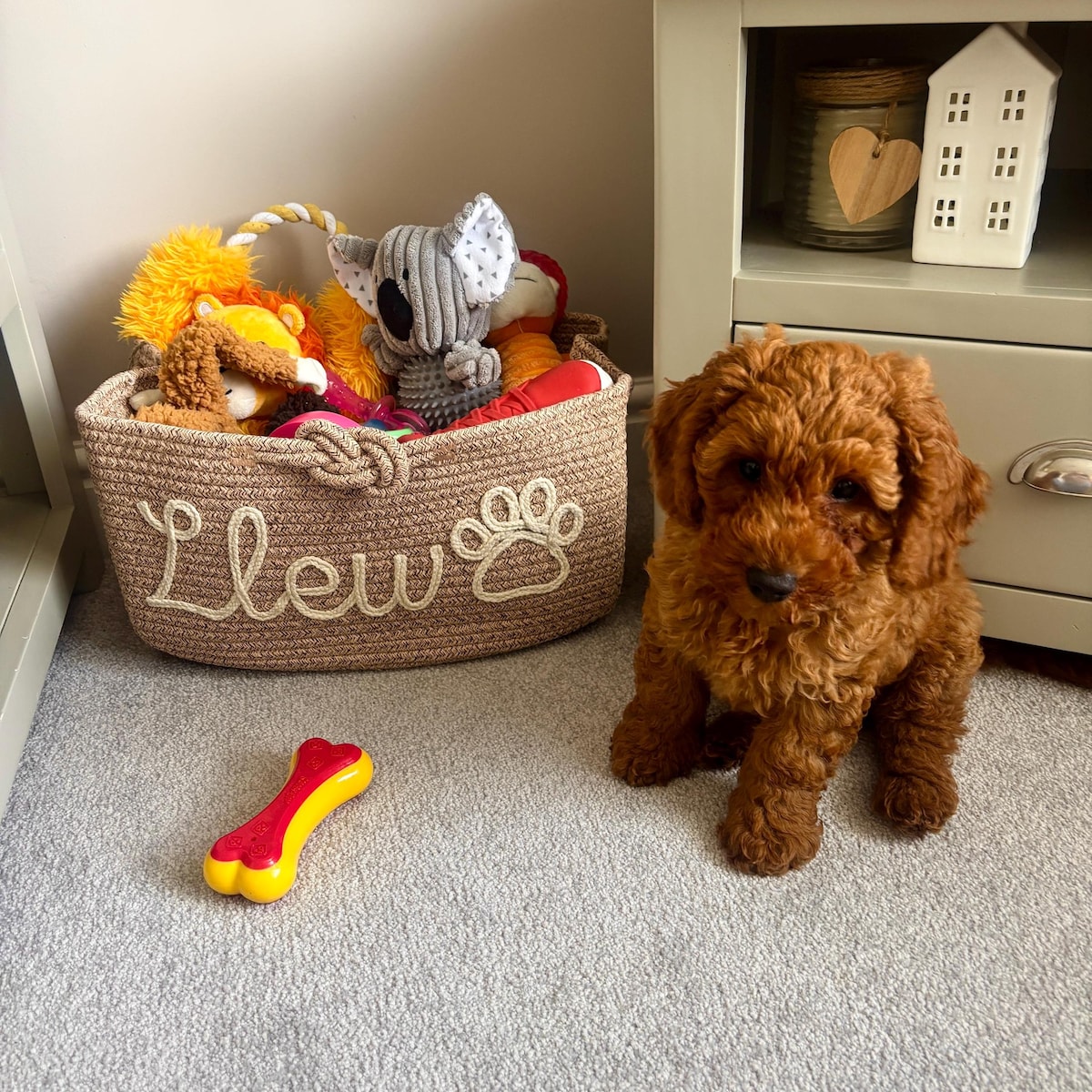 Custom Pet Toy Storage Basket