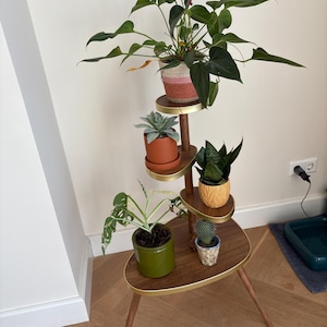 Simone added a photo of their purchase