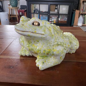 CUSTOM Painted Ceramic Arnel Toad Tissue Dispenser MEDIUM - Etsy