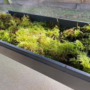 Acheteur Etsy a ajouté une photo de son achat