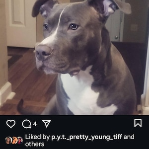 Candice added a photo of their purchase