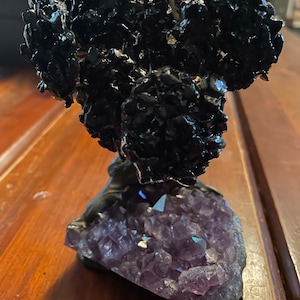 genevablack added a photo of their purchase