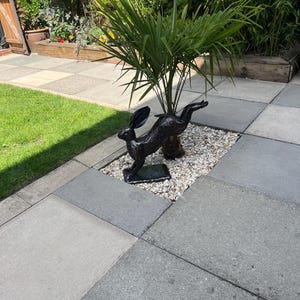 David added a photo of their purchase