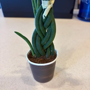 Ambria added a photo of their purchase
