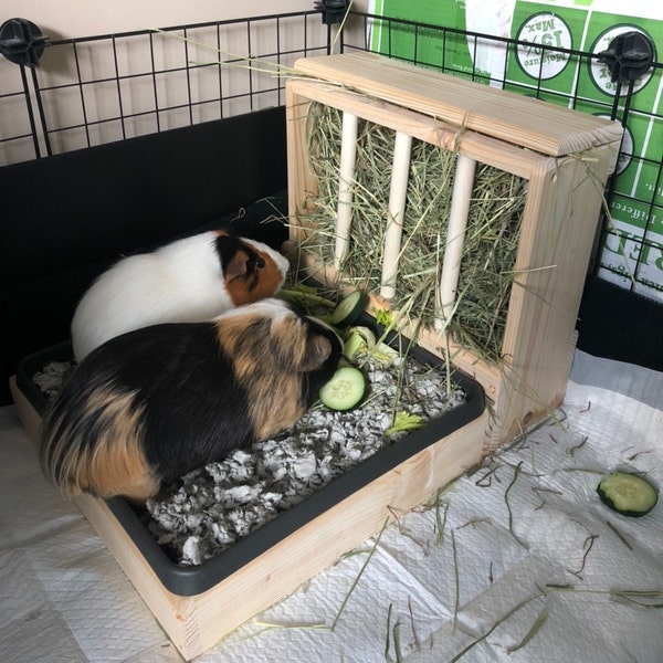 Guinea Pig Hay Feeder, Hay Rack Wooden, Made by Asaswood - Etsy - Guinea Pig Hay Feeder With Timer