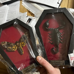 Morgana a ajouté une photo de son achat