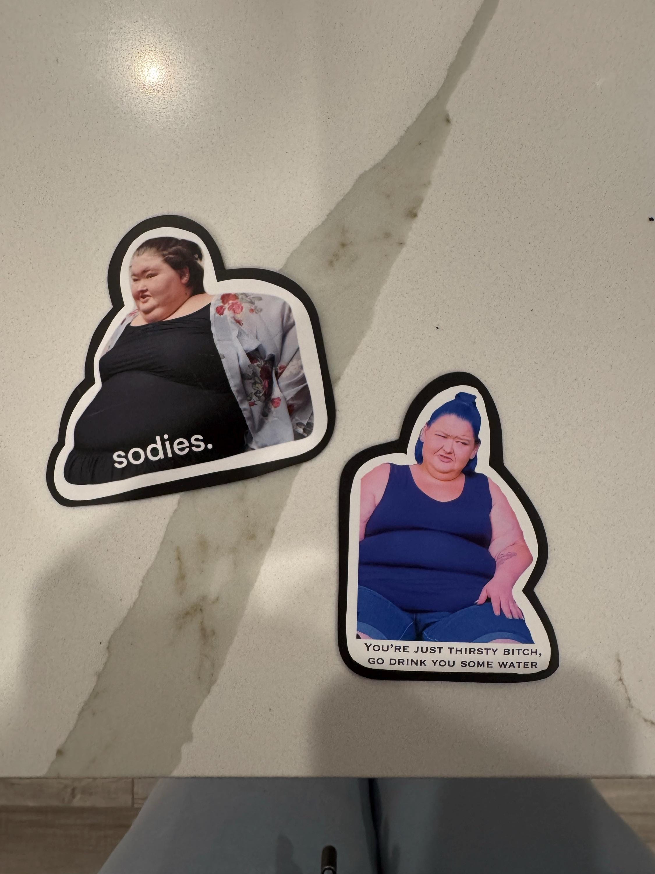 Amy Slaton magnet, 1000 lb sisters magnet, funny fridge magnet, sodies, TLC show, 1000 pound sisters, my 600 pound life, my bills are paid