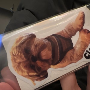 Kathleen a ajouté une photo de son achat
