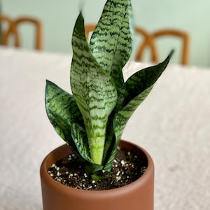 Jean added a photo of their purchase