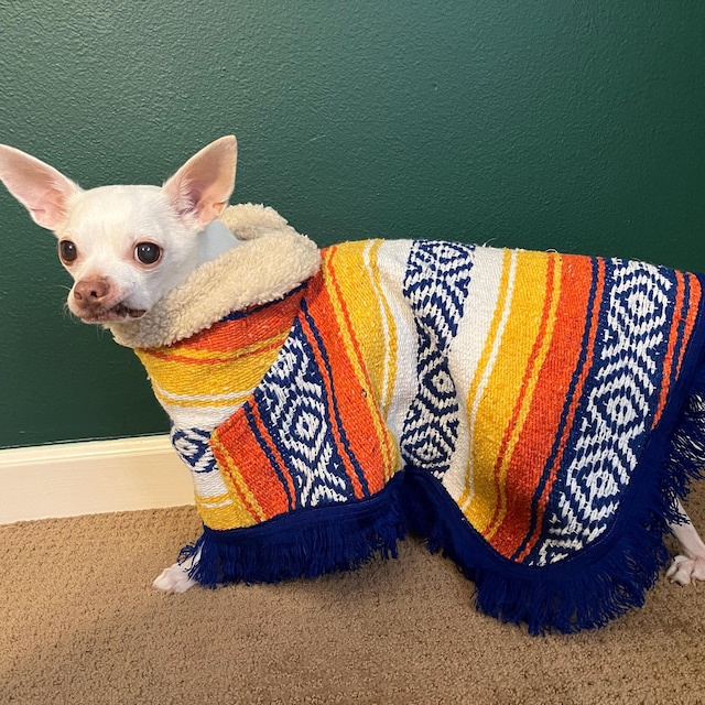 Dog Hoodie Dog Clothes For Large Dogs Snooty Pooch Boutique Dog