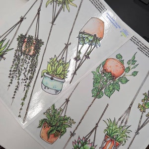 Amy added a photo of their purchase