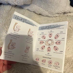 Lucy added a photo of their purchase