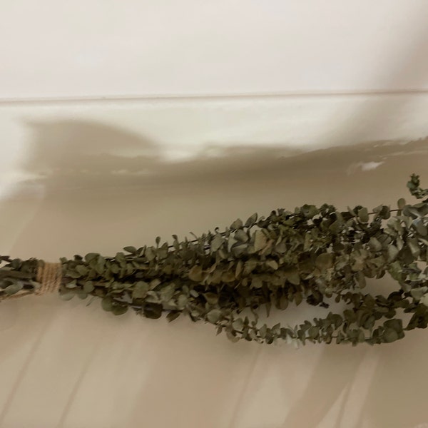 Fresh Eucalyptus Shower Bundle | Eucalyptus Plant | Fresh Eucalyptus ...