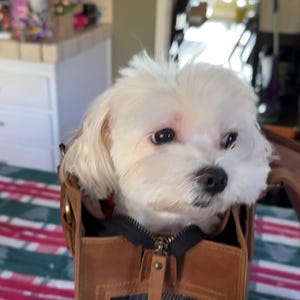 Stephanie ha añadido una foto de su compra