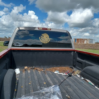 Mexican Flag Logo Decal, Mexican Eagle Decal, Waterproof Vinyl Sticker ...