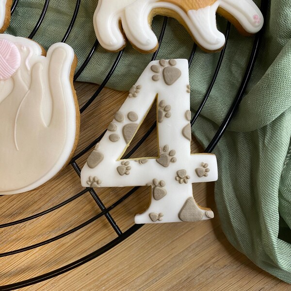 Sprinkle Genius Create Your Own Sprinkles! Sprinkle Maker Cookie Cutter ...