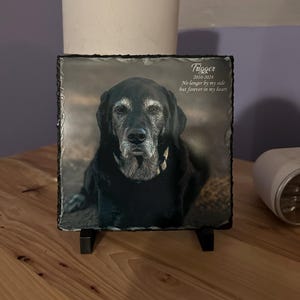 Amanda added a photo of their purchase