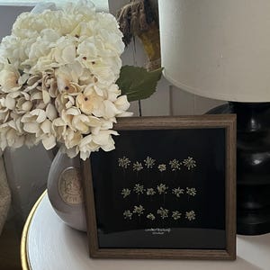 Esther added a photo of their purchase