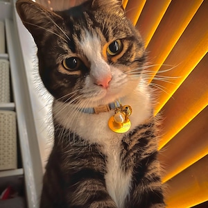 Reeya hat ein Foto des gekauften Artikels hinzugefügt