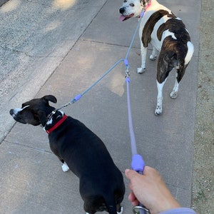 Carley added a photo of their purchase